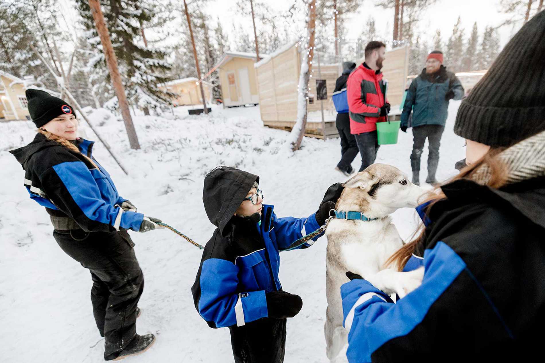 Jack petting one of the husky pups.